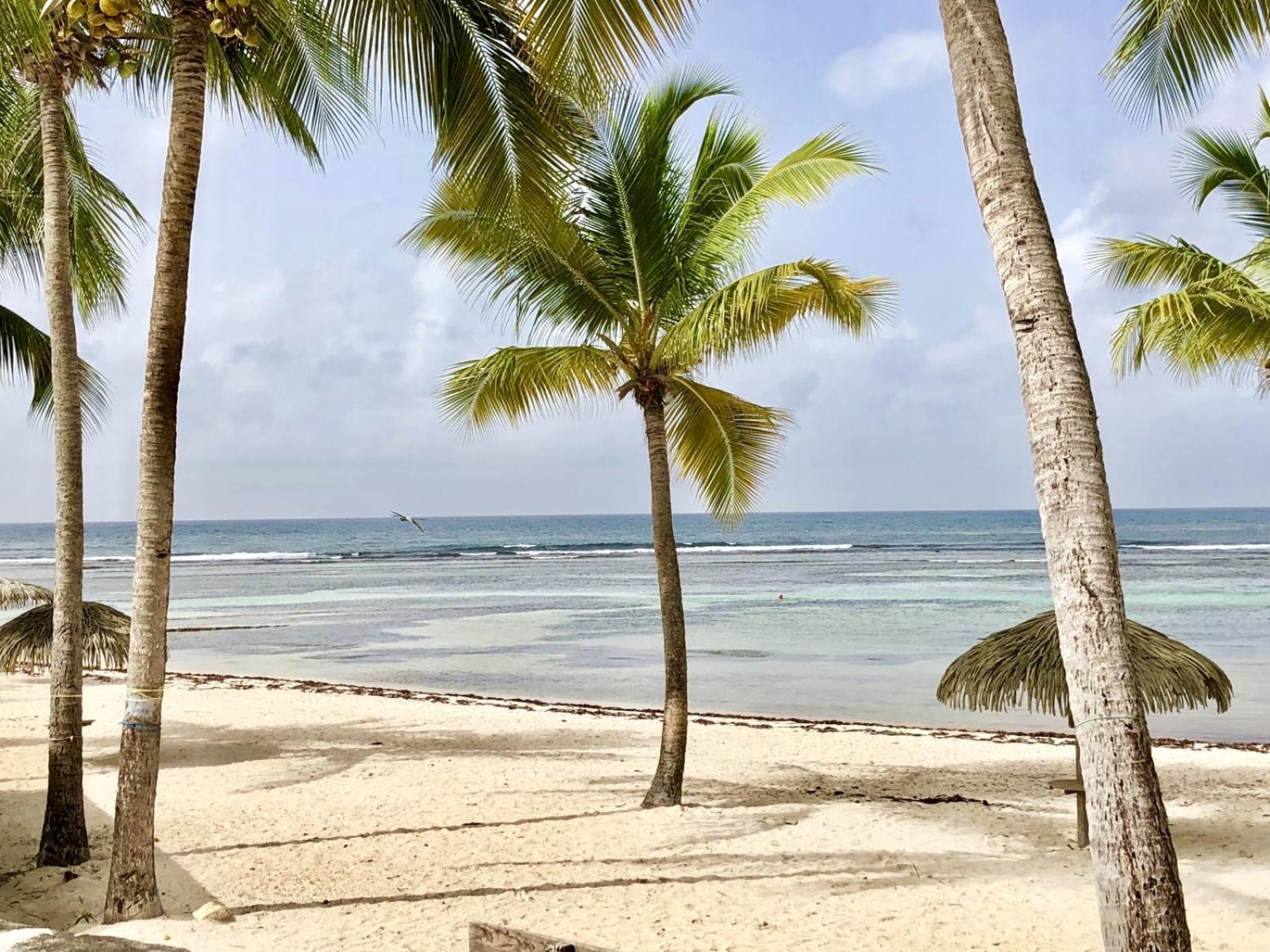Guadeloupe- Saint-Francois- Residence Anse Des Rochers - Appartement Quart De Villa Etage - Vue Mer- 4 Personnes - Lit Bebe Sur Demande - Citerne Et Wifi Prives -Animaux Ok-Acces Plage Direct -Apnee Bien-Etre Experience Sur Demande Avec Instructeur A Eksteriør billede